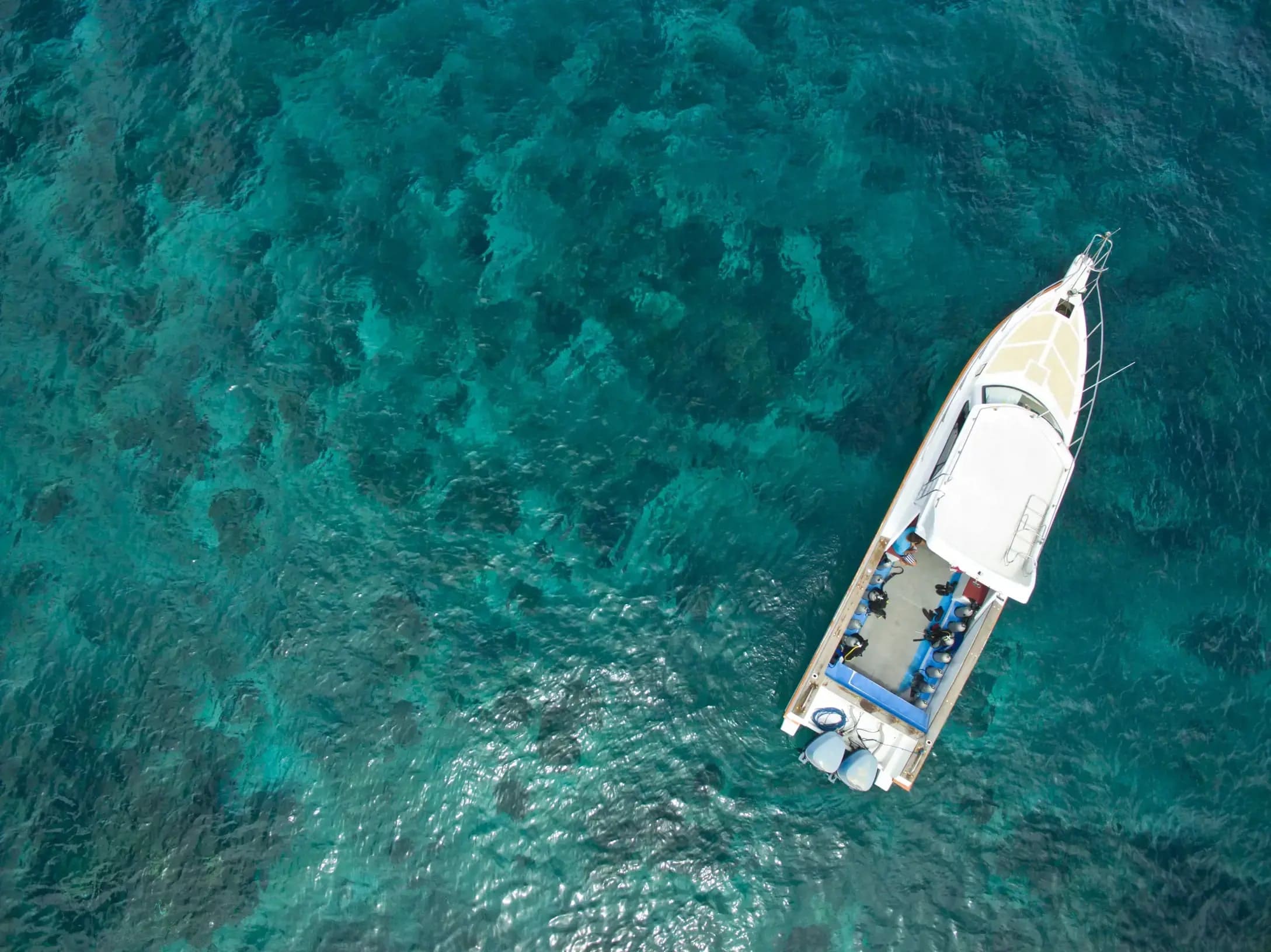 aqua-mix.jpg aqua-mix.jpg