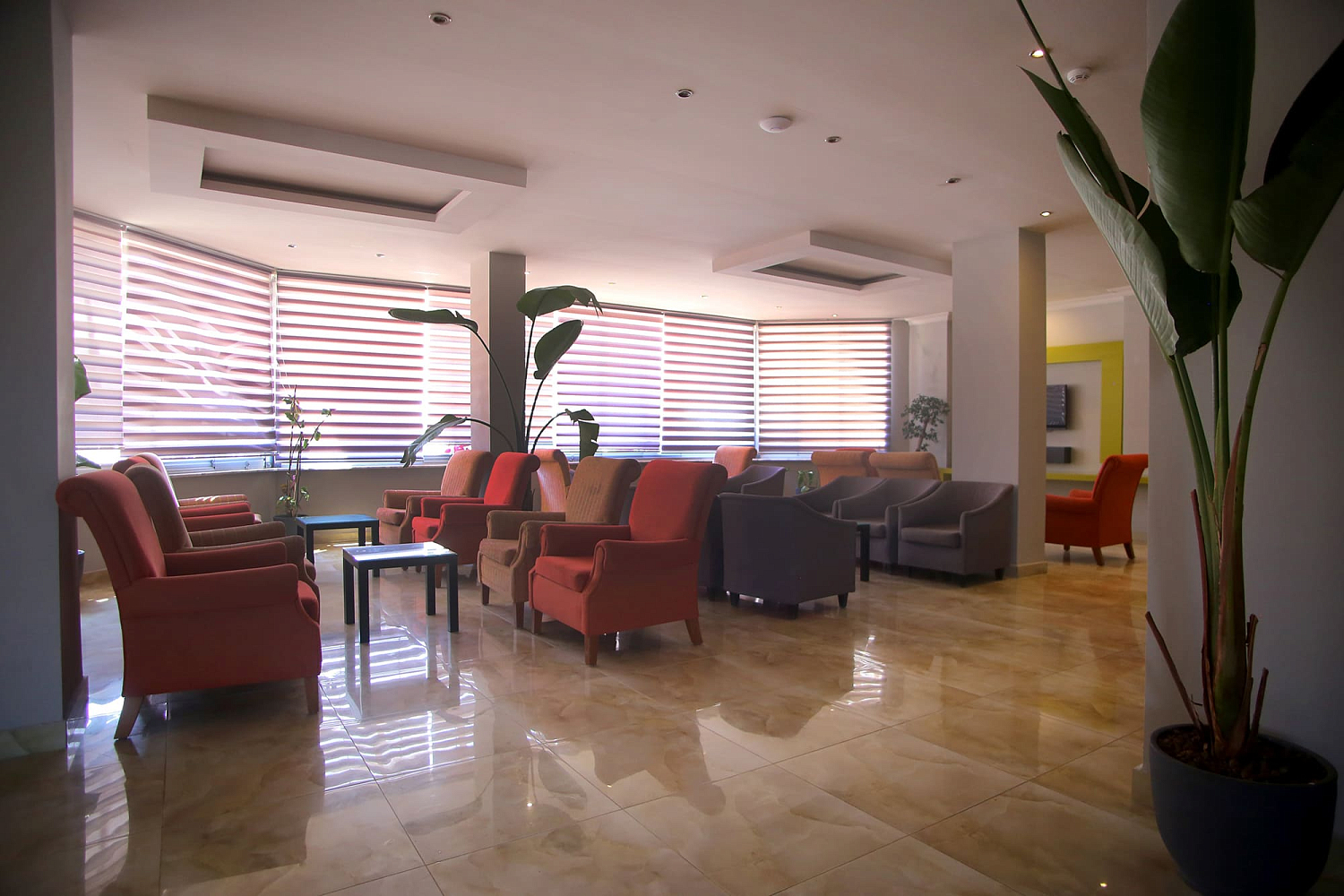 Simply Fine Hotel Alize 4* / Турция / Аланья-Оба