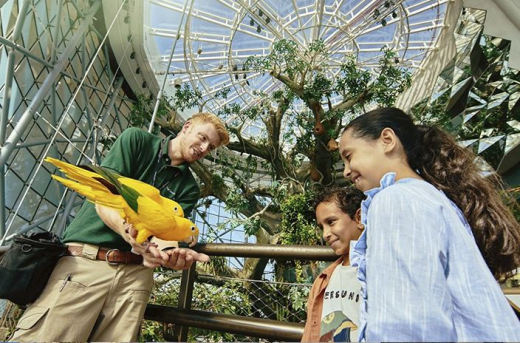 Ботанический сад Green Planet в Dubai Park & Resorts / ОАЭ / Дубай