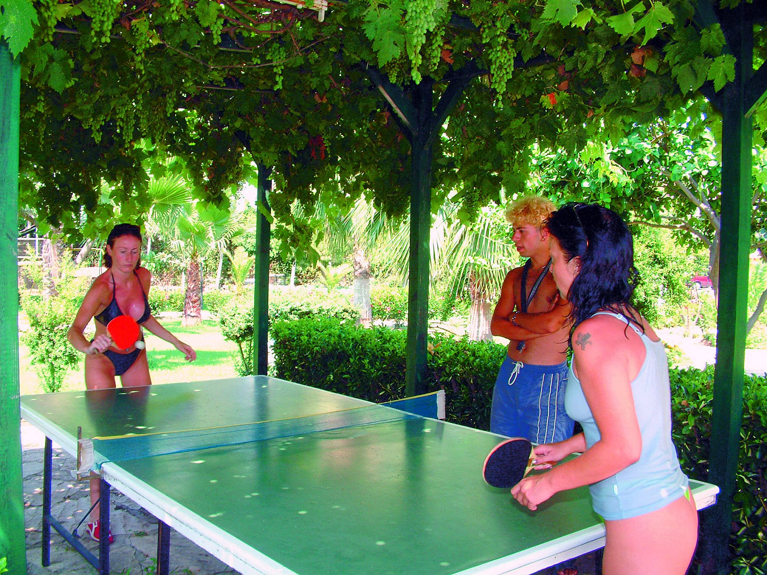 Green Peace 3* / Турция / Аланья-Махмутлар