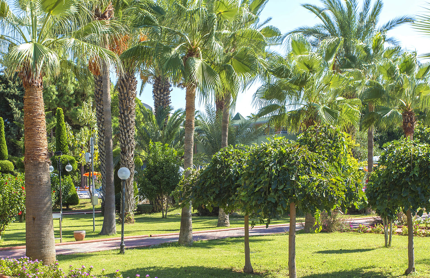 Lonicera Resort & Spa 5* / Турция / Аланья / Тюрклер-1 (центр)