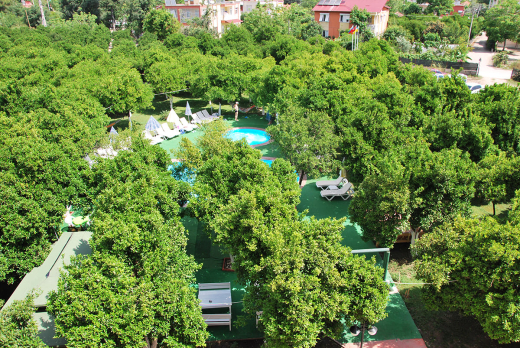 Castle Park 4* / Турция / Кемер / Бельдиби-1 (центр)