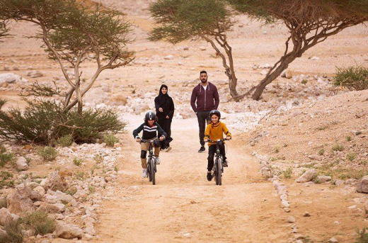 Пустынный парк Джебель-Хафит в Аль Айне / ОАЭ / Аль Айн