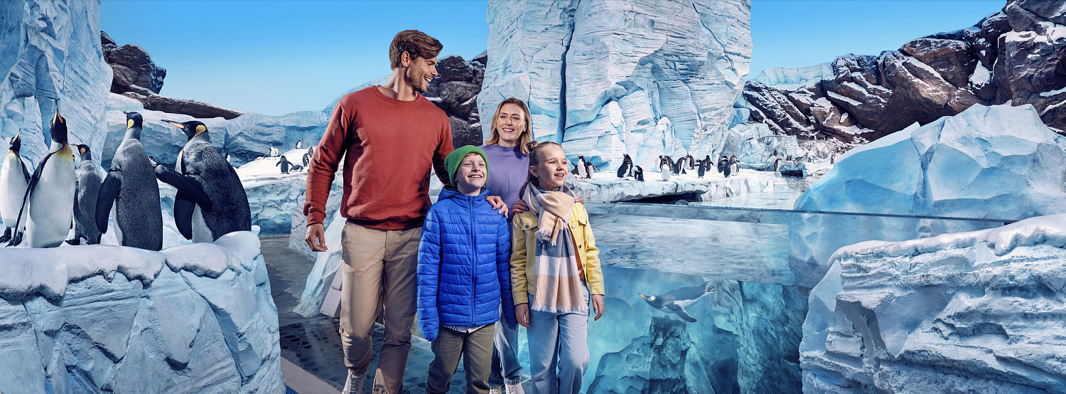 Тематический парк SeaWorld Abu Dhabi  / ОАЭ / Абу Даби / о. Яс