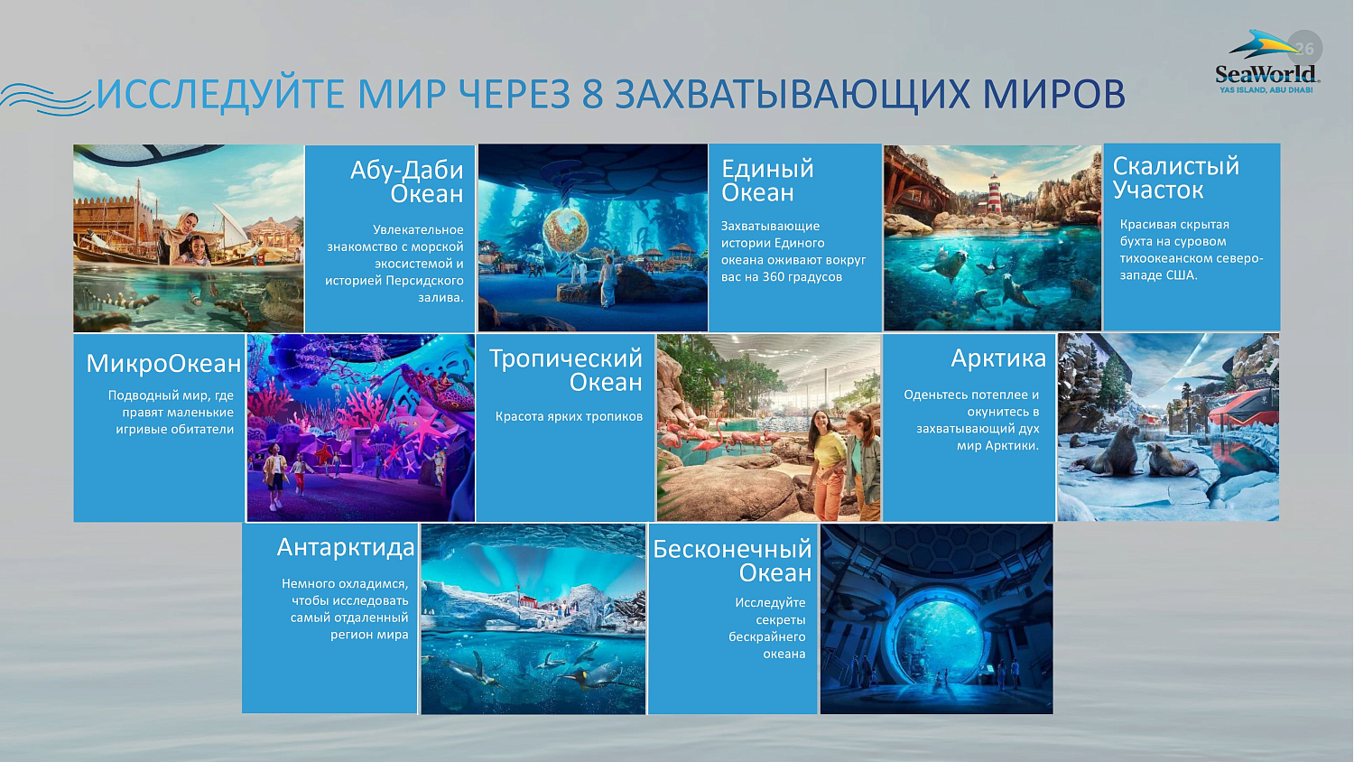 Тематический парк SeaWorld Abu Dhabi  / ОАЭ / Абу Даби / о. Яс