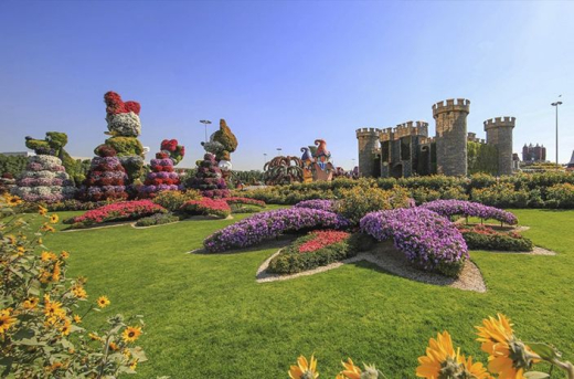 Парк Miracle Garden / ОАЭ / Дубай