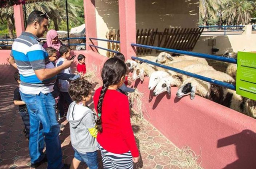 Детская ферма в Парке пустыни / ОАЭ / Шарджа