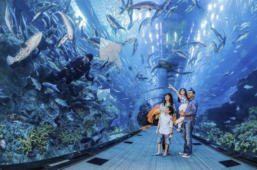 Аквариум Dubai Aquarium and Underwater Zoo / ОАЭ / Дубай