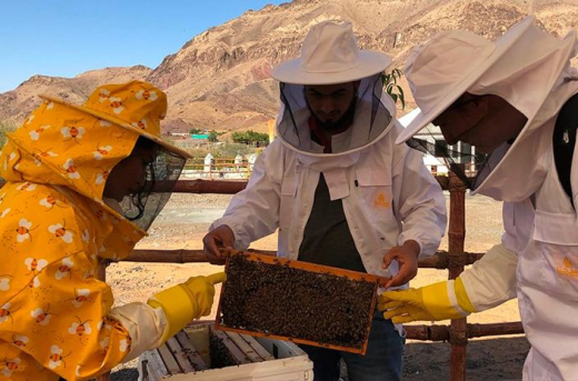 Ферма Happiness Farm и центр изучения пчел в горном селении Хатта (Hatta)  / ОАЭ / Дубай