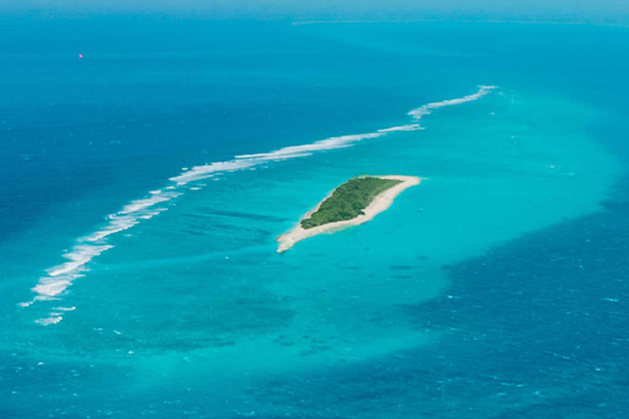 south-palm-resort
