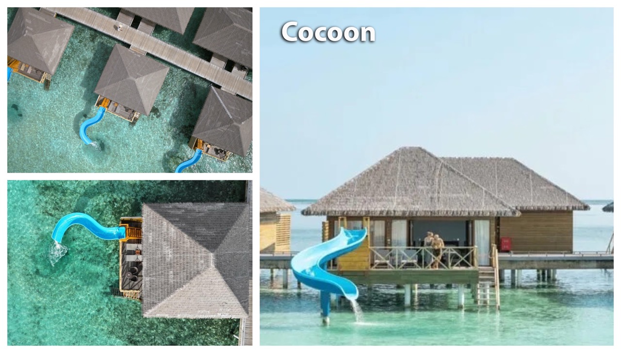 2-cocoon крупныи размер.jpeg 2-cocoon крупныи размер.jpeg
