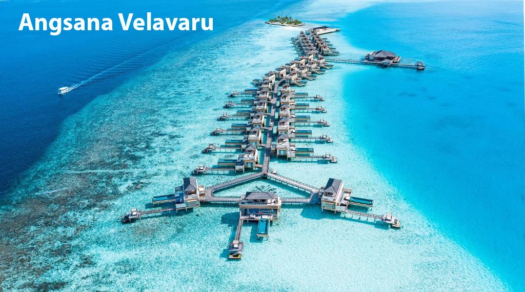 1-angsana-velavaru-inocean-1 крупныи размер.jpeg 1-angsana-velavaru-inocean-1 крупныи размер.jpeg