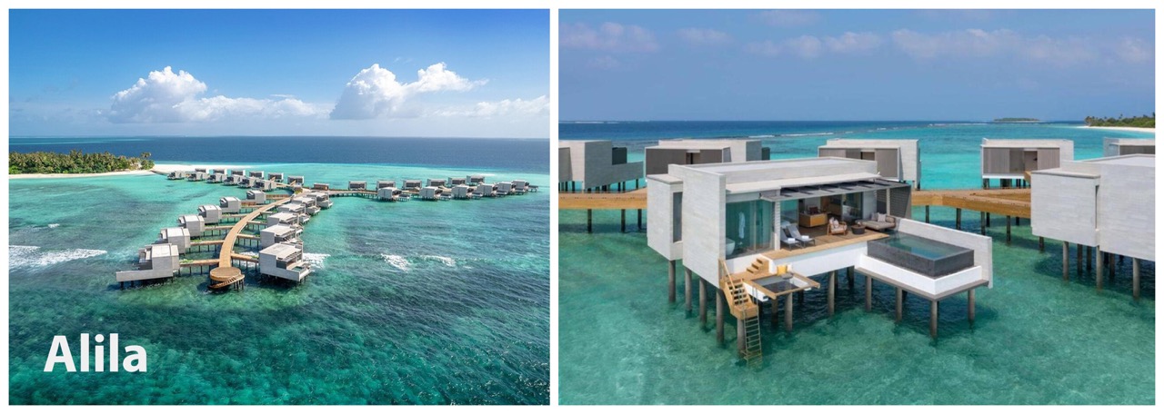 3-alila крупныи размер.jpeg 3-alila крупныи размер.jpeg