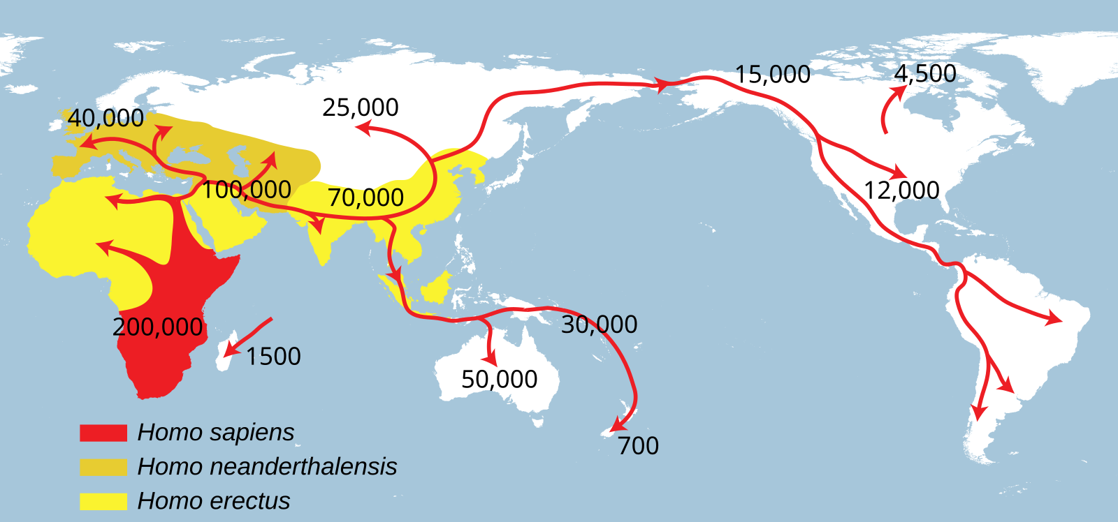 https://upload.wikimedia.org/wikipedia/commons/2/22/Spreading_homo_sapiens_ru.svg