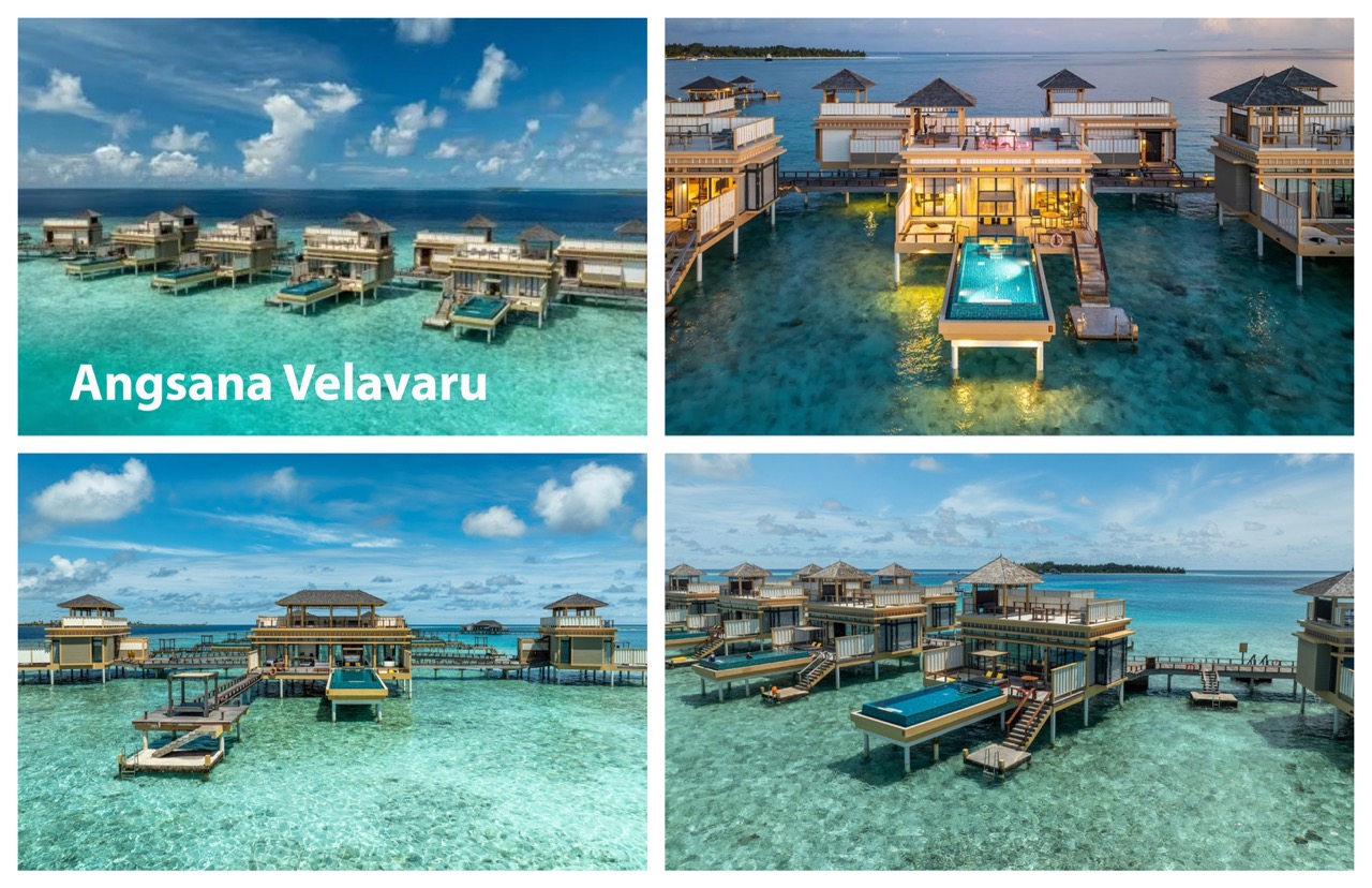 4-angsana-velavaru крупныи размер.jpeg 4-angsana-velavaru крупныи размер.jpeg