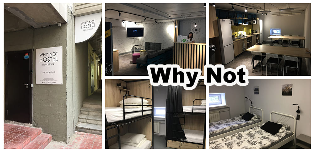 002-why-not-1.jpg