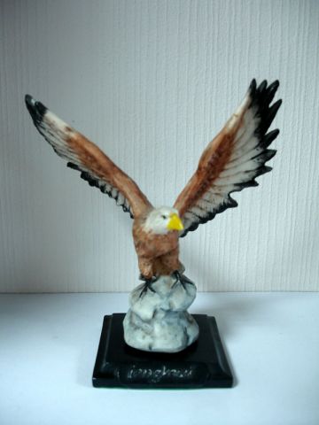 040-malaysia-eagle.jpg