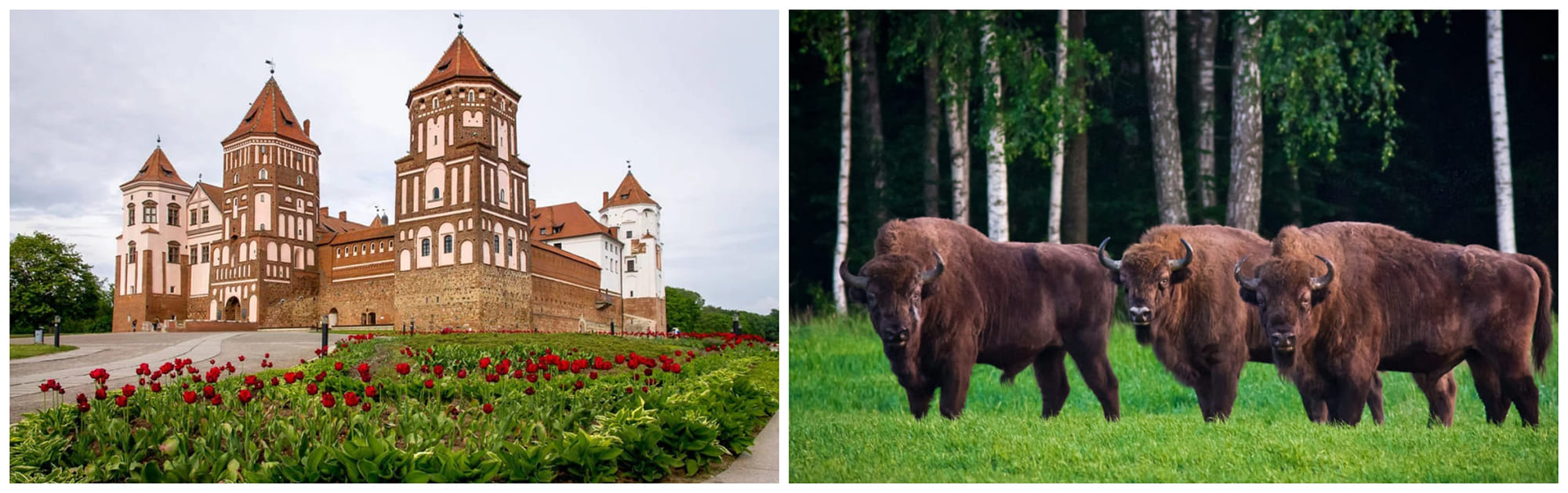 belarus-1.jpg belarus-1.jpg