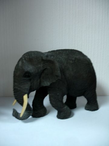003-thailand-elephant-03.jpg