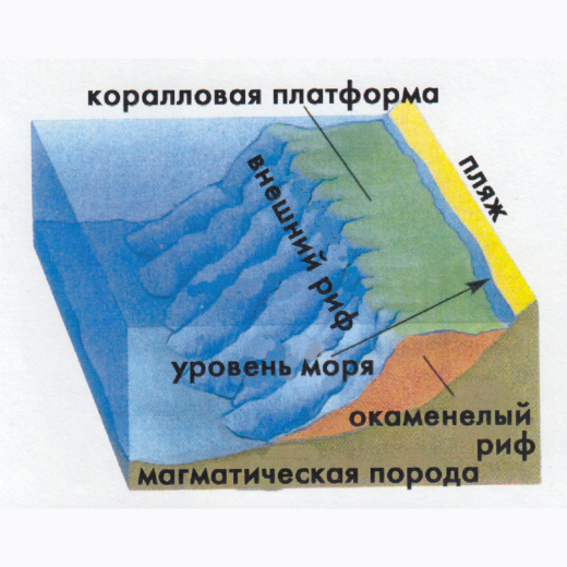 Шарм-эль-Шейх (Египет) из Новосибирска
