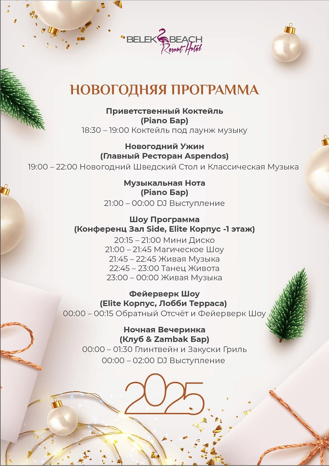 Новый год и Рождество в Анталии